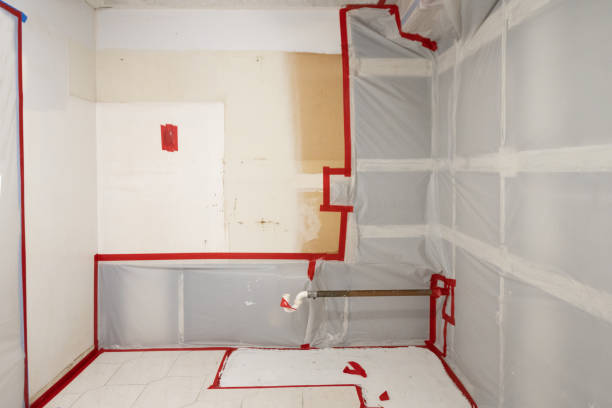Best Commercial Mold Inspection  in Beech Grove, IN