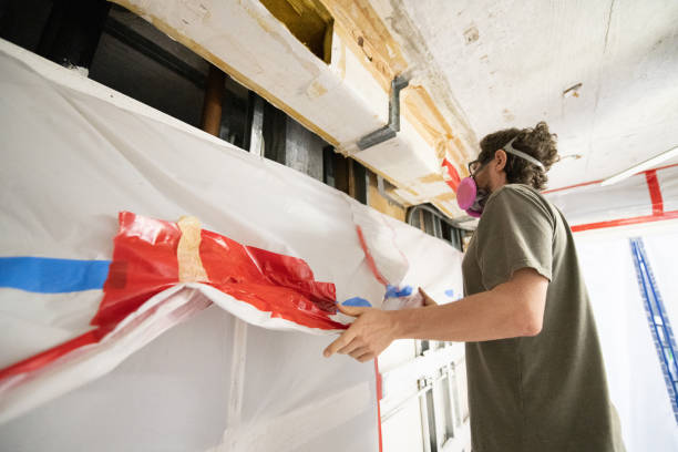 Beech Grove, IN Mold Removal Company