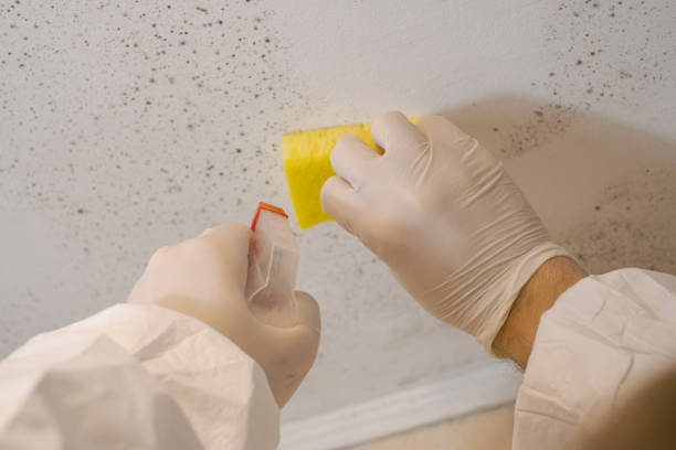 Dehumidification Services in Beech Grove, IN