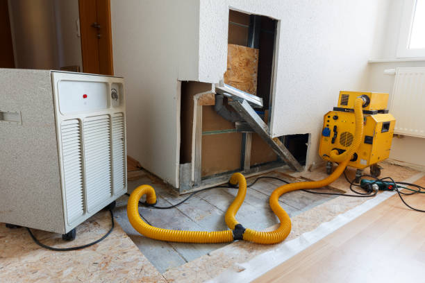 Best Crawl Space Mold Remediation  in Beech Grove, IN