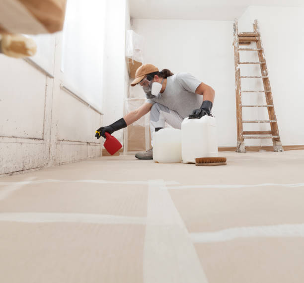 Best Mold Damage Restoration  in Beech Grove, IN