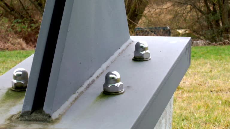 Best Attic Mold Removal  in Beech Grove, IN
