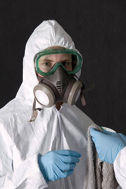 Best Industrial Mold Remediation  in Beech Grove, IN